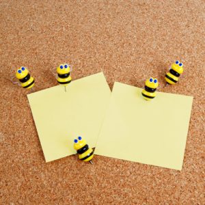Busy Bee Push Pins